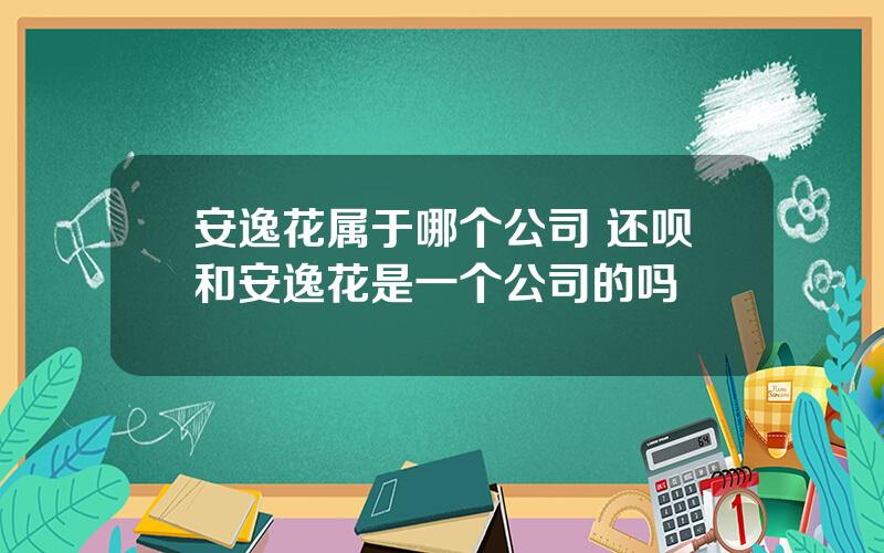安逸花属于哪个公司 还呗和安逸花是一个公司的吗